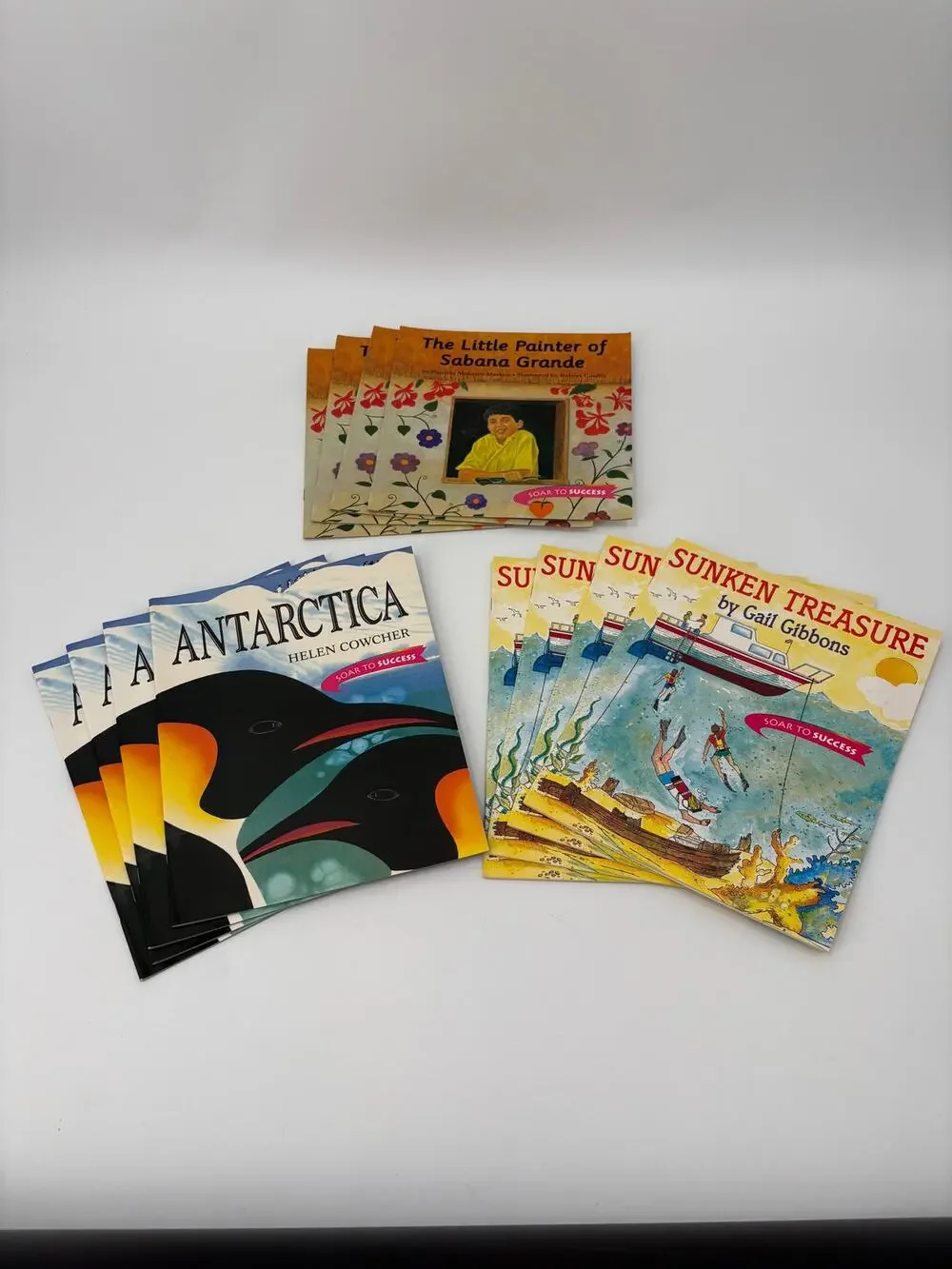 Lot of 12 Kids Books Houghton Mifflin SOAR to Success Set